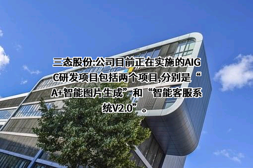 深圳市三态电子商务股份有限公司