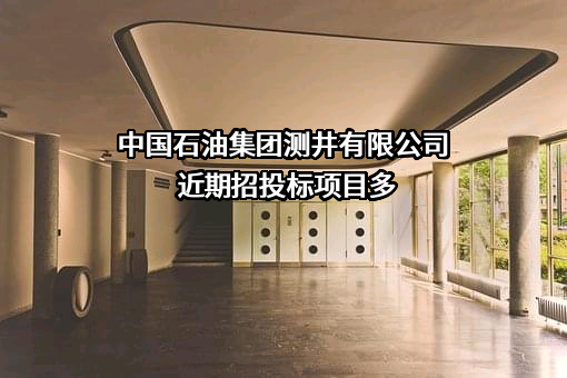中国石油集团测井有限公司