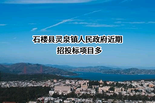 石楼县灵泉镇人民政府