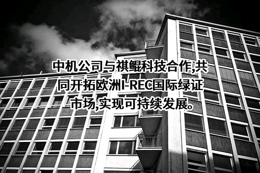 中国机械进出口（集团）有限公司