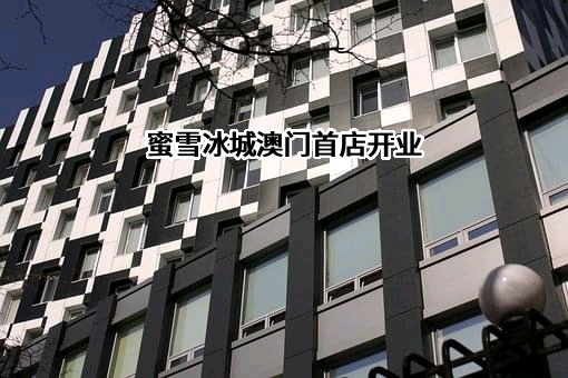 蜜雪冰城股份有限公司