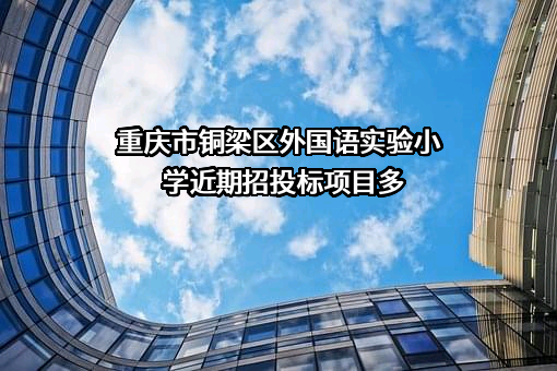 重庆市铜梁区外国语实验小学