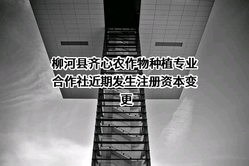 柳河县齐心农作物种植专业合作社