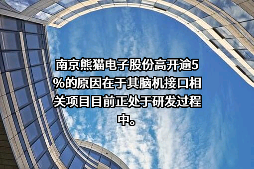 南京熊猫电子股份有限公司