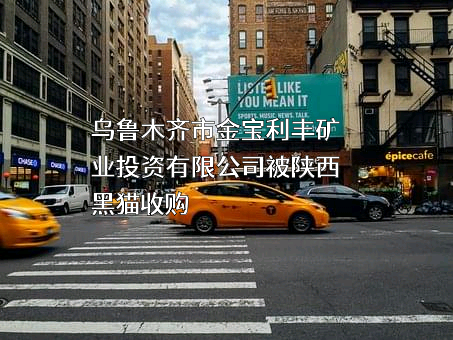 乌鲁木齐市金宝利丰矿业投资有限公司