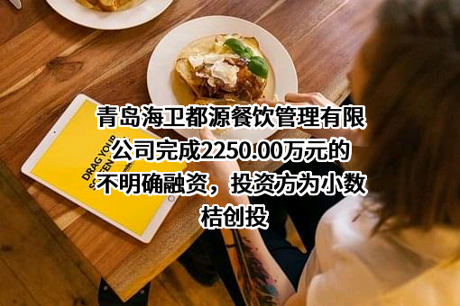 青岛海卫都源餐饮管理有限公司完成2250.00万元的不明确融资，投资方为小数桔创投