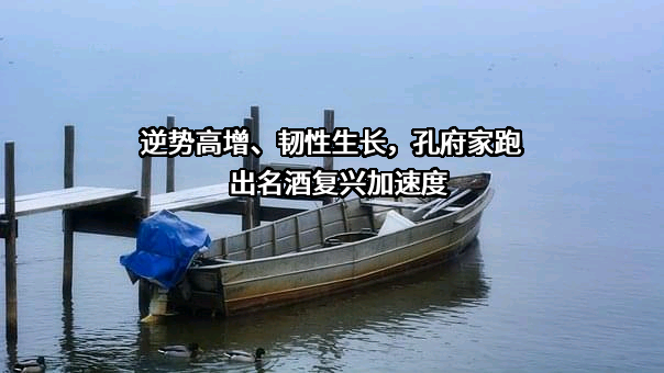 曲阜孔府家酒业有限公司