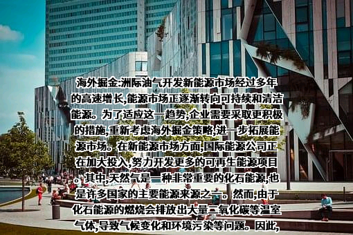 泰州中来光电科技有限公司