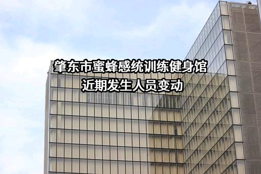 肇东市蜜蜂感统训练健身馆