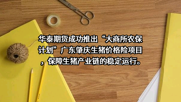 华泰期货有限公司
