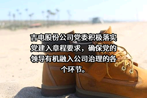 吉林电力股份有限公司