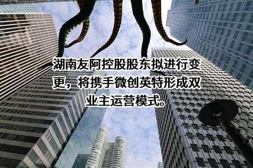 湖南友谊阿波罗控股股份有限公司