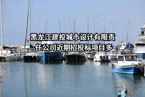 黑龙江建投城市设计有限责任公司
