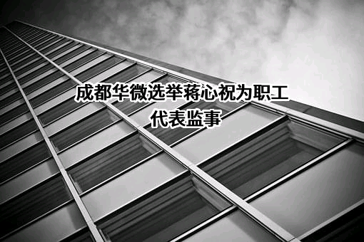 成都华微科技有限公司