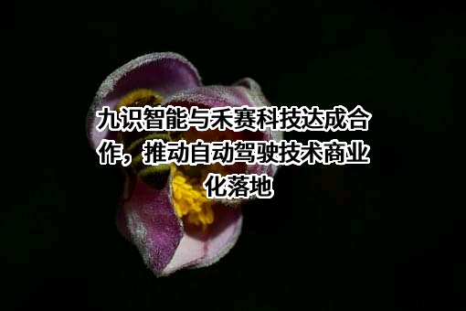 九识（苏州）智能科技有限公司