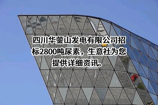 国能四川华蓥山发电有限公司