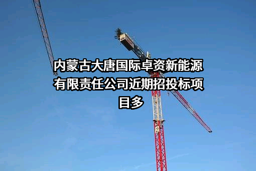 内蒙古大唐国际卓资新能源有限责任公司
