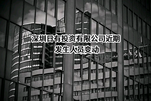 深圳日有投资有限公司