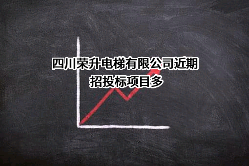 四川荣升电梯有限公司