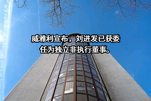 威雅利电子（集团）有限公司