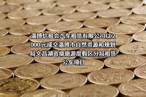 淄博信租会汽车租赁有限公司以 2000 元成交淄博市自然资源和规划局文昌湖省级旅游度假区分局租赁公车项目