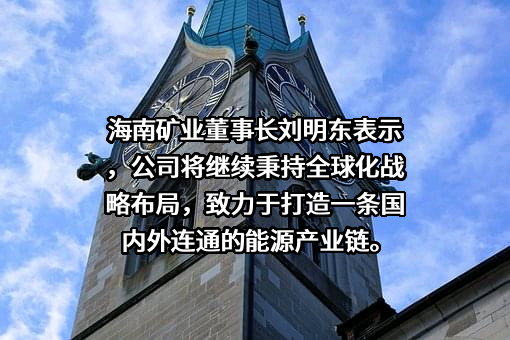 海南矿业股份有限公司