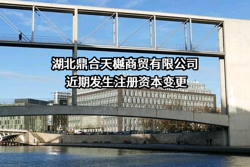 湖北鼎合天樾商贸有限公司