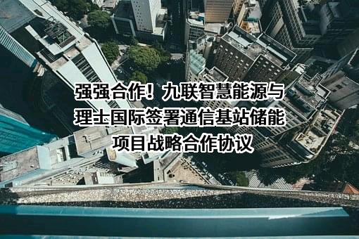 理士国际技术有限公司