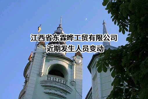 江西省东霖晔工贸有限公司