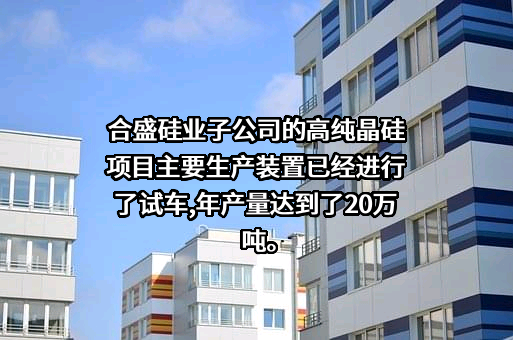 合盛硅业股份有限公司