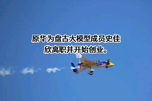 华为技术有限公司