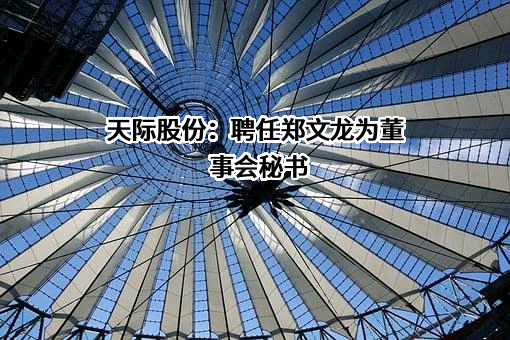 天际新能源科技股份有限公司