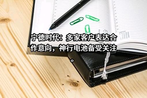 宁德时代新能源科技股份有限公司
