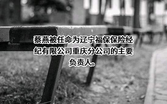 辽宁福保保险经纪有限公司重庆分公司