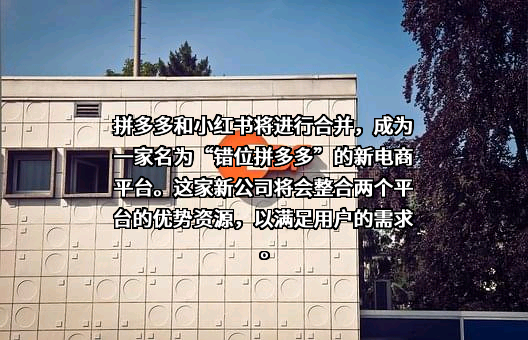 上海寻梦信息技术有限公司