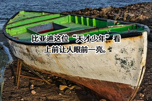 比亚迪股份有限公司