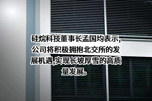 河南硅烷科技发展股份有限公司