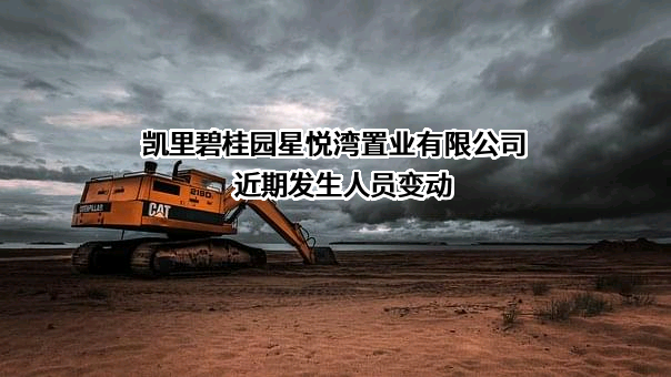 凯里碧桂园星悦湾置业有限公司