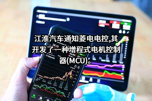 武汉菱电汽车电控系统股份有限公司