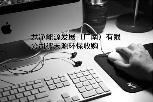 龙净能源发展（广南）有限公司