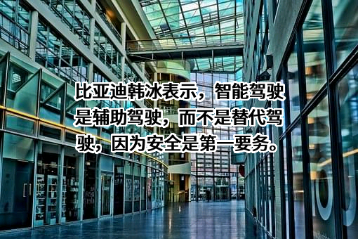 比亚迪股份有限公司