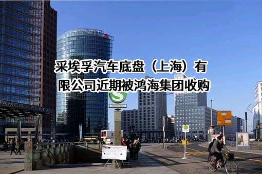 采埃孚汽车底盘（上海）有限公司