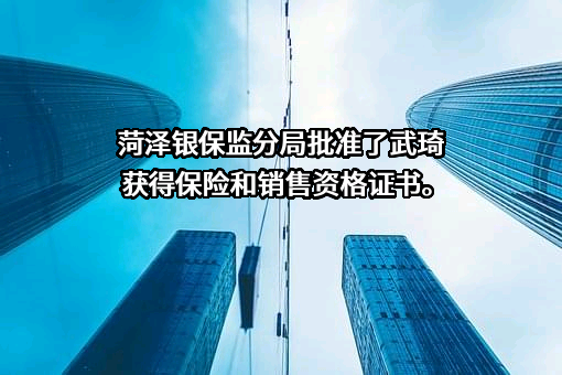 山东新希望保险代理有限公司