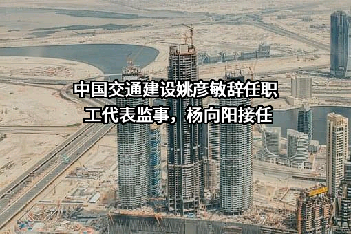 中国交通建设股份有限公司