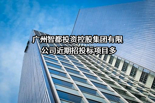 广州智都投资控股集团有限公司