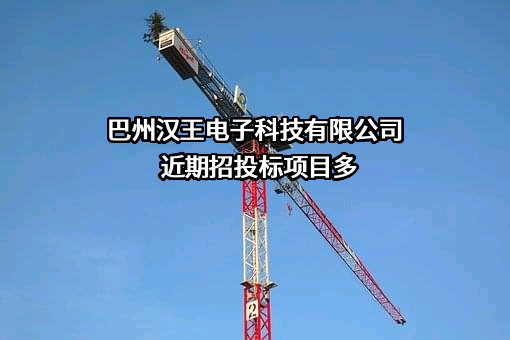 巴州汉王电子科技有限公司