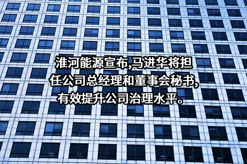 淮河能源（集团）股份有限公司