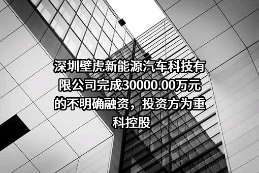 深圳壁虎新能源汽车科技有限公司