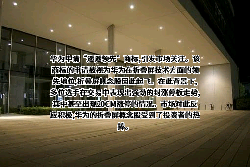 华为技术有限公司
