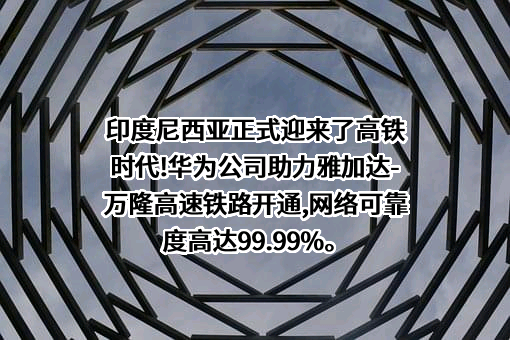 中国电信集团有限公司